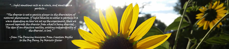 Sunflower with words about poet Kat Heatherington